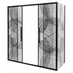 Душевой уголок AvaCan FB2 190-210x80, FB2-190-SB80