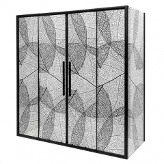 Душевой уголок AvaCan FB2 190-210x100, FB2-190-SB100