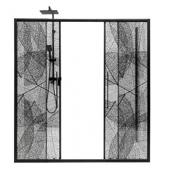Душевая дверь в нишу AvaCan FB2 190-210, FB2-190