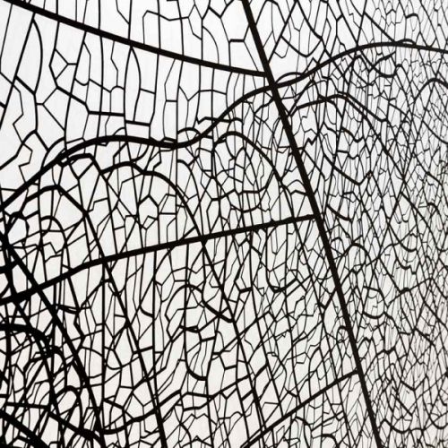 Душевая перегородка AvaCan MB120, MB120