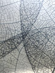 Душевая дверь в нишу AvaCan FB2 190-210 MT, FB2-190MT