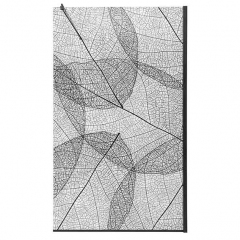 Душевая перегородка AvaCan MB100 MT, MB100MT, матовая с рисунком