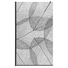 Душевая перегородка AvaCan MB100 MT, MB100MT, матовая с рисунком