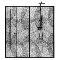 Душевая дверь в нишу AvaCan FB2 170-190, FB2-170